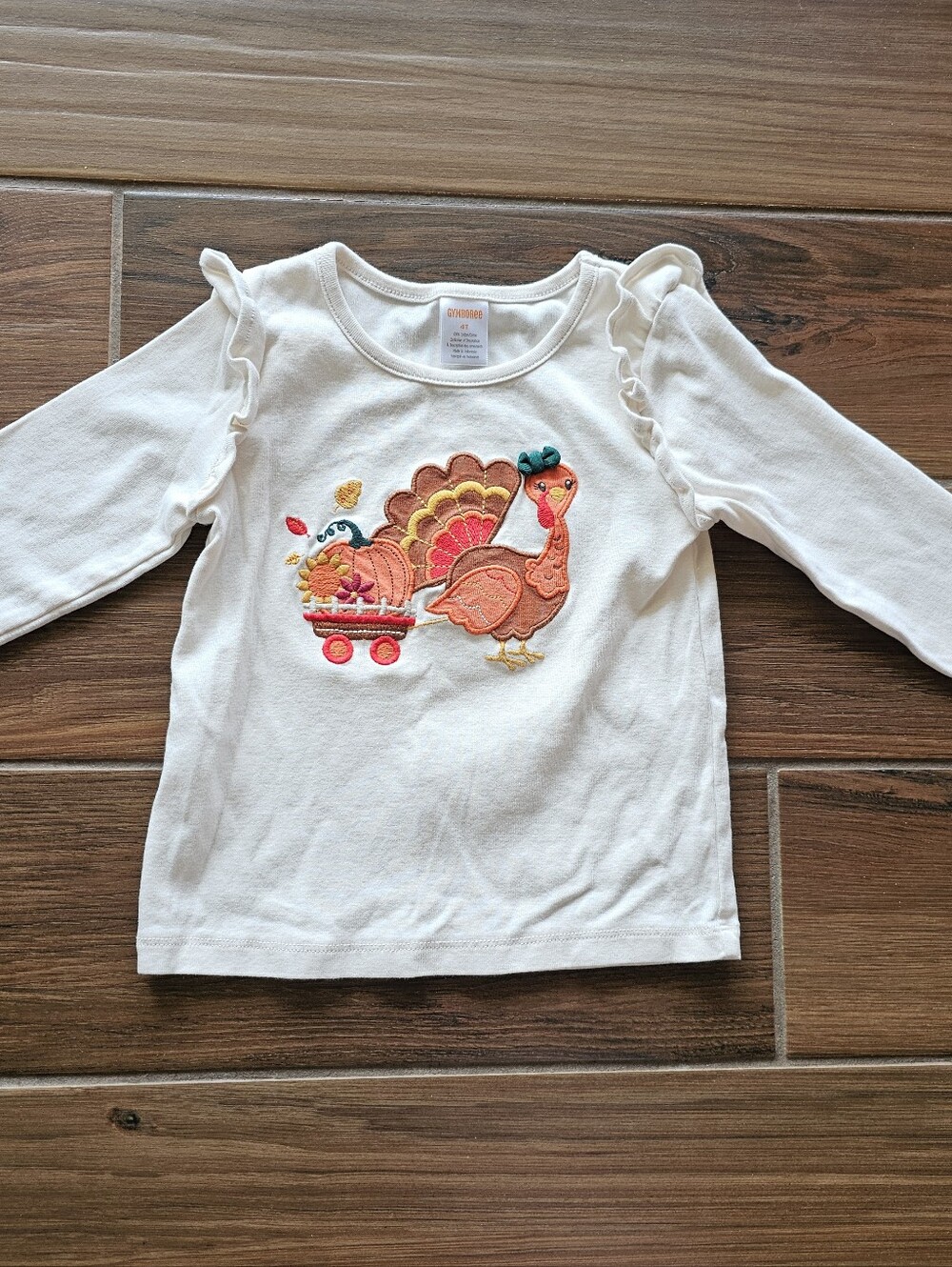 Gymboree Girls Turkey Tee 4T